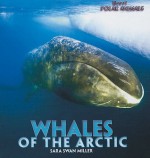 Whales of the Arctic - Sara Swan Miller