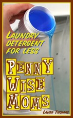 Laundry (Penny Wise Moms - Laundry Detergent For Less) - Laura Thomas