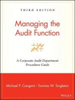 Managing the Audit Function: A Corporate Audit Department Procedures Guide - Michael P. Cangemi, Tommie W. Singleton