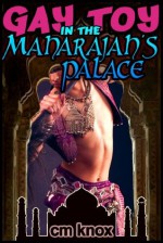 Gay Toy in the Maharajah's Palace - C.M. Knox