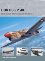 Curtiss P-40 - Snub-nosed Kittyhawks and Warhawks - Carl Molesworth