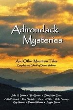 Adirondack Mysteries: And Other Mountain Tales - Dennis Webster, John H. Briant, Angela Zeman, Tico Brown, Cheryl Ann Costa, S.W. Hubbard, Paul Nandzik, David J. Pitkin, W.K. Pomeroy, Gigi Vernon