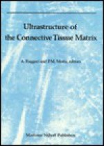 Ultrastructure Of The Connective Tissue Matrix - A. Ruggeri, P. Motta