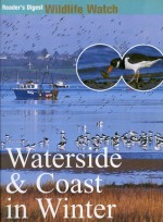 Waterside & Coast in Winter - Marion Paull