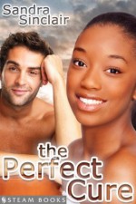 The Perfect Cure - Sensual Interracial BWWM Erotic Romance from Steam Books - Steam Books, Sandra Sinclair