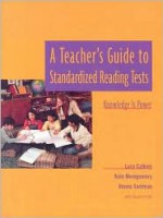 A Teacher's Guide to Standardized Reading Tests: Knowledge Is Power - Lucy McCormick Calkins, Beverly Falk, Kate Montgomery