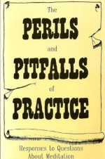 The Perils and Pitfalls of Practice: Responses to Questions About Meditation - Cheri Huber