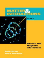 Matter & Interaction II: Electric & Magnetic Interactions - Ruth W. Chabay, Bruce A. Sherwood