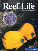 Reef Life - Andrea Ferrari, Antonella Ferrari