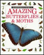 Amazing Butterflies and Moths (Eyewitness Juniors) - John Still