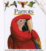 Parrots - Henri Galeron