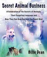 Secret Animal Business - Billie Dean