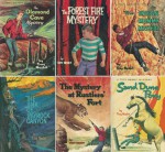 The Wilderness Mystery Series Complete 6-Book Set: The Diamond Cave Mystery, The Forest Fire Mystery, The Indian Mummy Mystery, The Jinx of Payrock Canyon, The Mystery at Rustlers' Fort, and Sand Dune Pony - Tory Nesbit, Paul Busch, Paul Frame, Ursula Koering, Shannon Stirnweis, John Walter