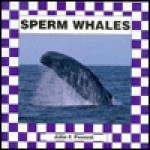 Sperm Whales - John F. Prevost