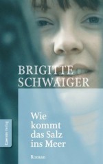 Wie kommt das Salz ins Meer: Situation in Prosa (German Edition) - Brigitte Schwaiger