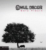 Omul decor - Gelu Vlasin