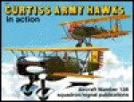 Curtiss Army Hawks in Action - Larry Davis