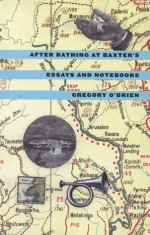 After Bathing at Baxter's: Essays and Notebooks - Gregory O'Brien