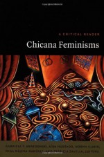 Chicana Feminisms: A Critical Reader (Post-Contemporary Interventions) - Gabriela F. Arredondo, Aida Hurtado, Norma Klahn, Olga Najera-Ramirez, Patricia Zavella