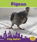 Pigeon - Isabel Thomas