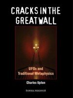 Cracks In The Great Wall: UFOs and Traditional Metaphysics - Charles Upton