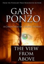 The View from Above - Gary Ponzo