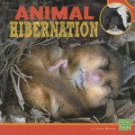 Animal Hibernation - Jeanie Mebane