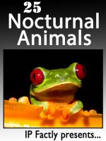 25 Nocturnal Animals. Amazing facts, photos and video links to animals that prefer the night! (25 Amazing Animals Series) - IC Wildlife, IP Factly