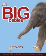 Big Babies, Little Babies - Lorrie Mack, Penny Smith