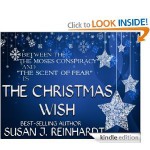 The Christmas Wish - Susan J. Reinhardt