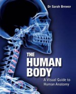 The Human Body: A Visual Guide to Human Anatomy. Sarah Brewer - Brewer, Sarah Brewer