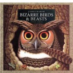 Bizarre Birds and Beasts - James Marsh