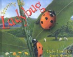 Starting Life: Ladybug - Claire Llewellyn, Simon Mendez