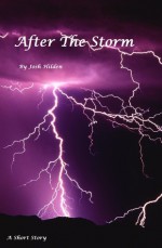 After the Storm - Josh Hilden