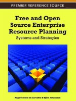 Free and Open Source Enterprise Resource Planning: Systems and Strategies - Rogerio Atem de Carvalho, Bjorn Johansson