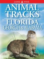 Animal Tracks of Florida, Georgia, Alabama - Ian Sheldon