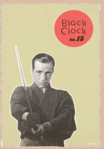 Black Clock 15 - Steve Erickson