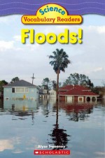 Floods! - Alyse Sweeney