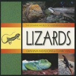 Lizards - Graham Meadows