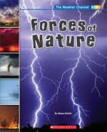 Forces Of Nature - Chana Stiefel