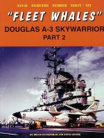 Fleet Whales: Douglas A-3 Skywarrior, Part 2 - Bruce Cunningham, Steve Ginter