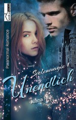 Unendlich (Seelenmagie, #1) - Alana Falk