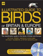 AA Illustrated Birds of Britain and Europe (Illustrated Reference) - Paul Sterry, Andy Clements, Andrew Cleave, Peter Goodfellow