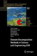 Domain Decomposition Methods in Science and Engineering XVII - Marco Discacciati