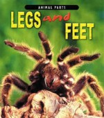 Legs and Feet - Elizabeth Miles