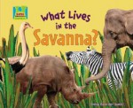 What Lives in the Savanna? - Oona Gaarder-juntti