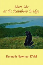 Meet Me at the Rainbow Bridge - Kenneth Newman