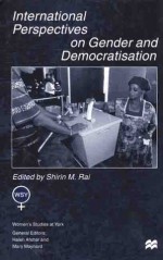 International Perspectives On Gender and Democratisation - Shirin M. Rai