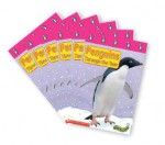 Penguins Through the Year - Scholastic Professional Books, Robin Bernard