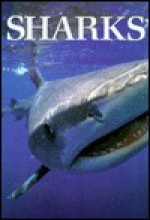 Sharks - John D. Stevens, Tony Pytzakowski